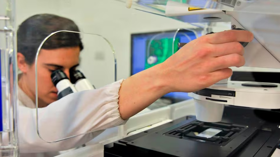 Filtro del CONICET contra nanoplásticos