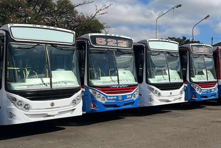 Aumento de colectivos