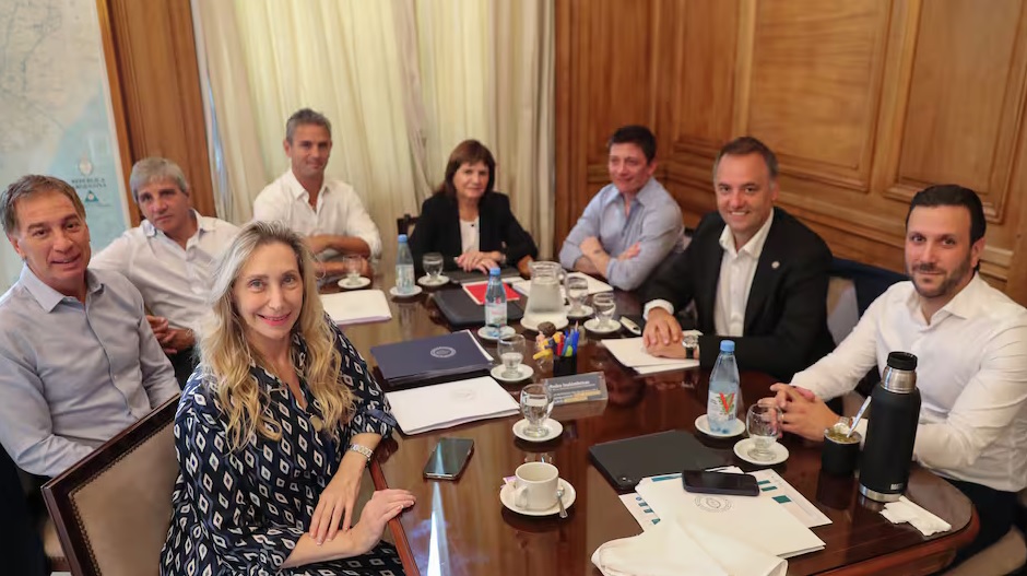 Reforma electoral PASO optativas
