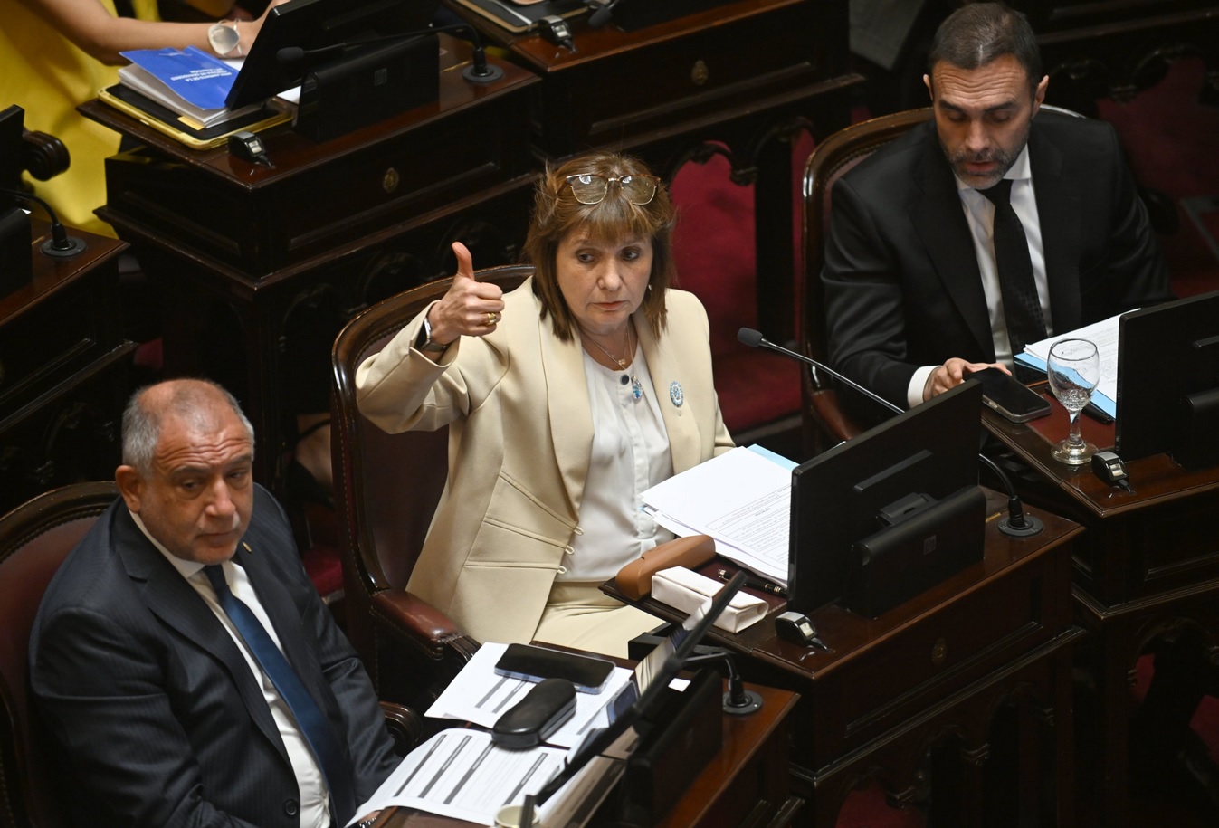 Pliego de Verónica Michelli Senado