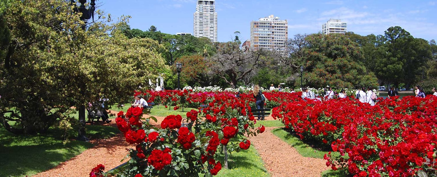 Poda del Rosedal de Palermo