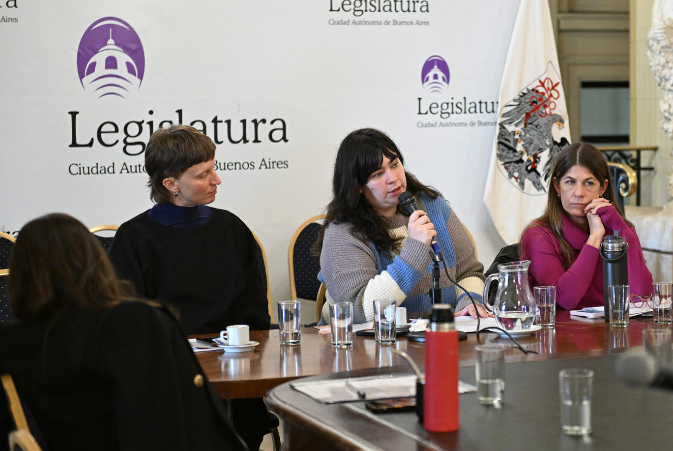 Avances legislativos en CABA
