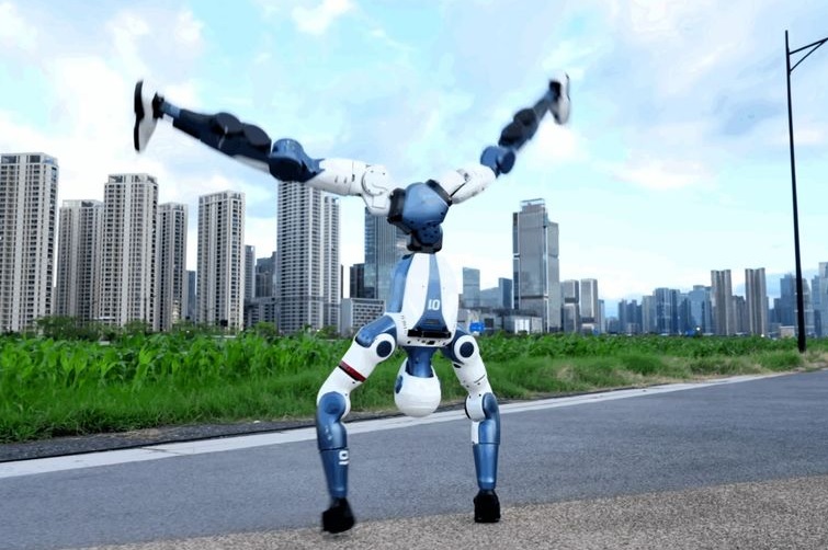 Robots humanoides China