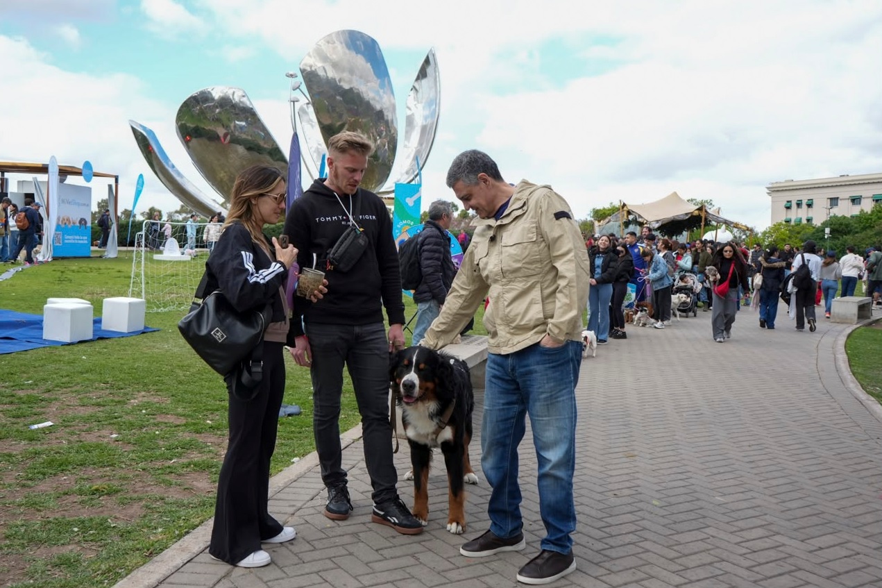 Ley de bienestar animal en CABA